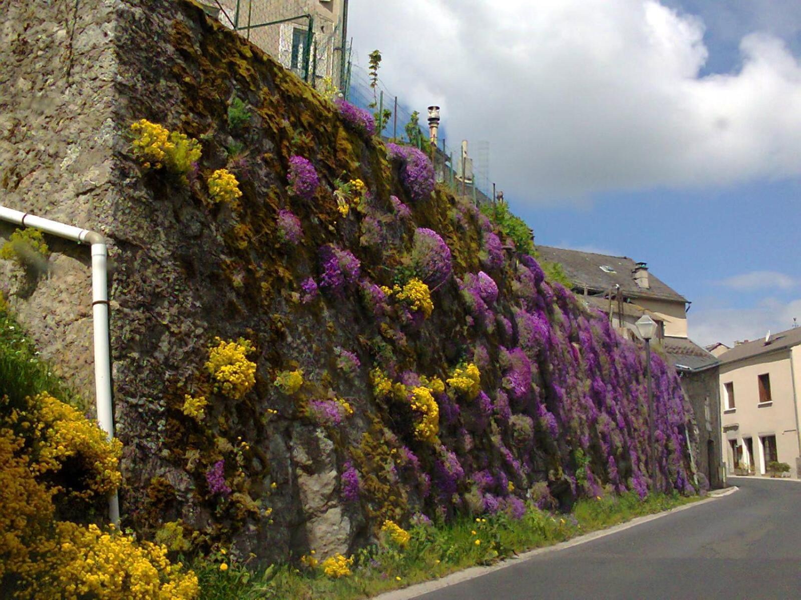 Le Chalet Du Roc La Panouse  Oda fotoğraf